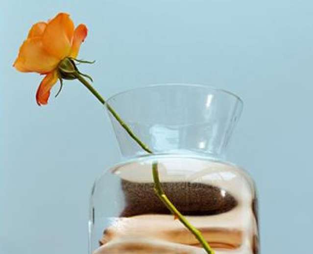 Flower in a vase. blue background. Vase has a distorted face.