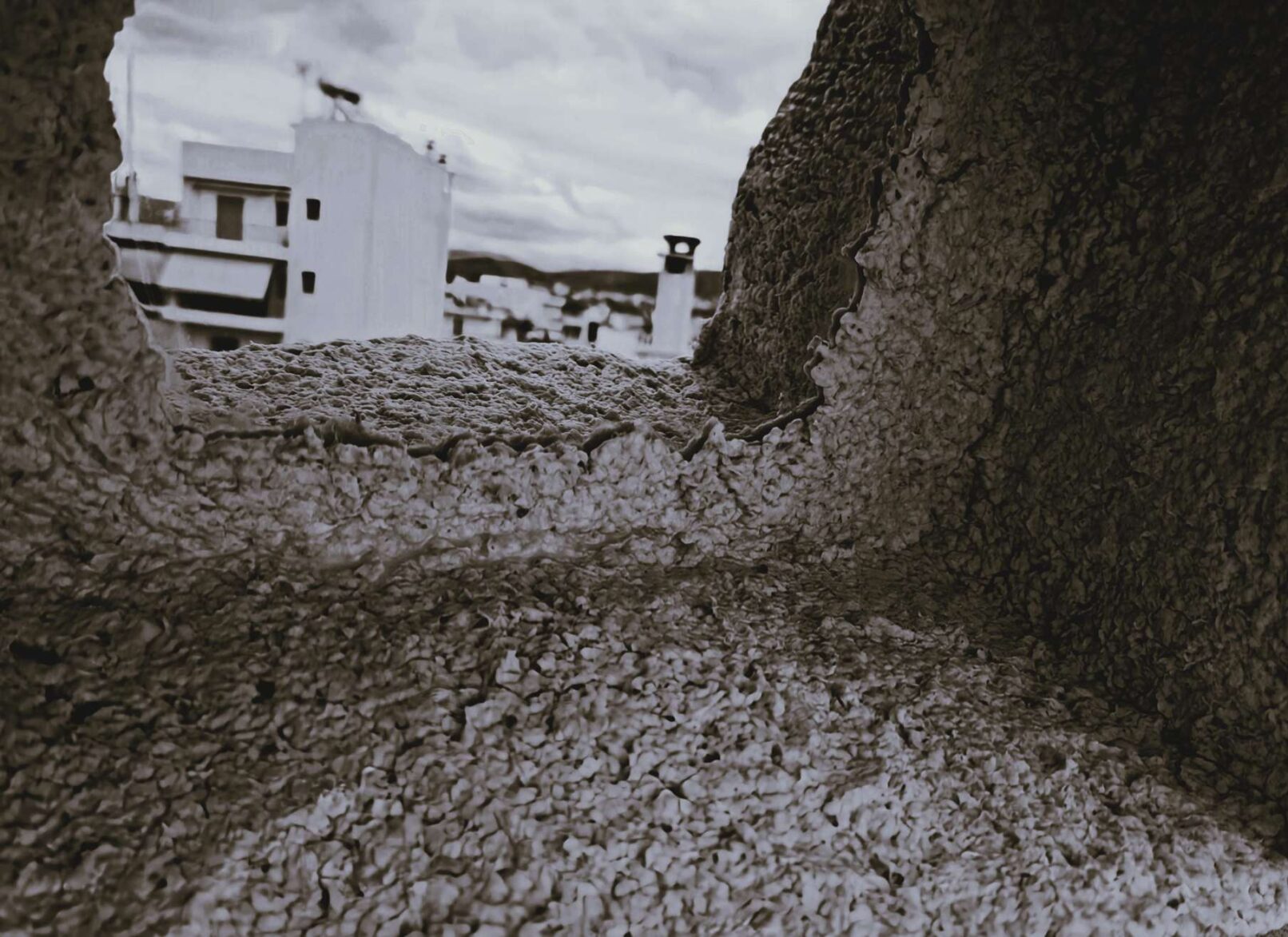 buildings on the background.